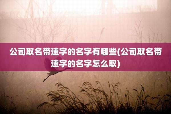 公司取名带速字的名字有哪些(公司取名带速字的名字怎么取)