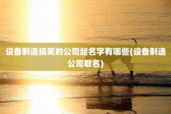 设备制造搞笑的公司起名字有哪些(设备制造公司取名)