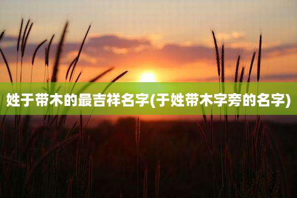 姓于带木的最吉祥名字(于姓带木字旁的名字)