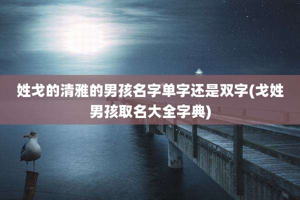 姓戈的清雅的男孩名字单字还是双字(戈姓男孩取名大全字典)