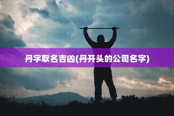 丹字取名吉凶(丹开头的公司名字)