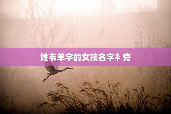姓韦单字的女孩名字衤旁