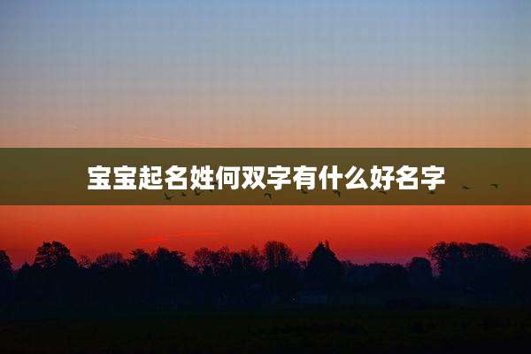 宝宝起名姓何双字有什么好名字