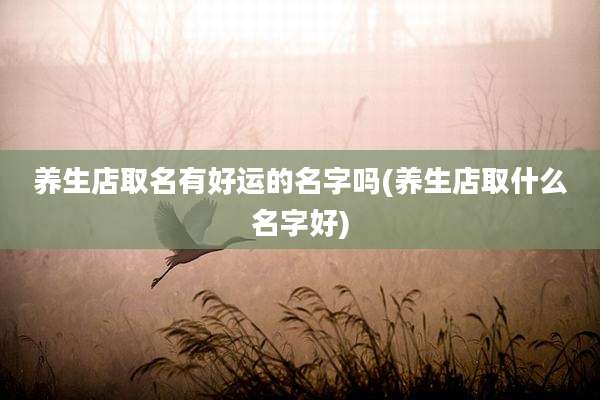 养生店取名有好运的名字吗(养生店取什么名字好)