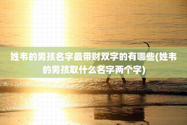 姓韦的男孩名字最带财双字的有哪些(姓韦的男孩取什么名字两个字)