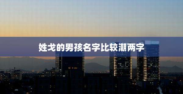 姓戈的男孩名字比较潮两字