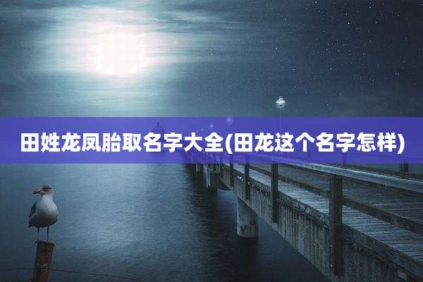 田姓龙凤胎取名字大全(田龙这个名字怎样)
