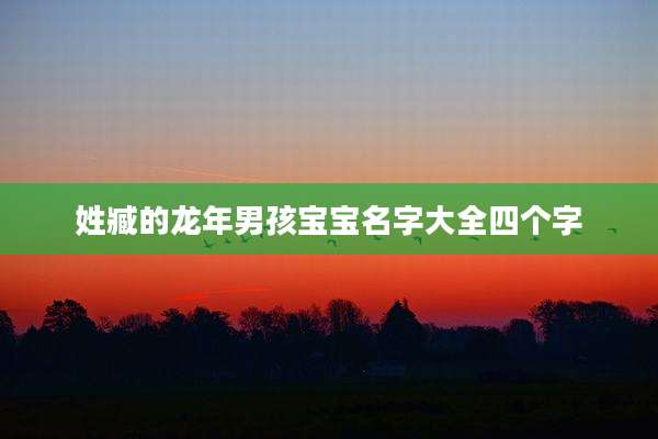 姓臧的龙年男孩宝宝名字大全四个字