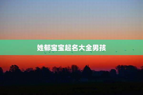 姓郁宝宝起名大全男孩