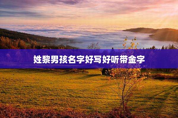 姓黎男孩名字好写好听带金字