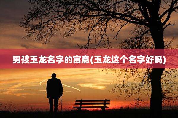 男孩玉龙名字的寓意(玉龙这个名字好吗)