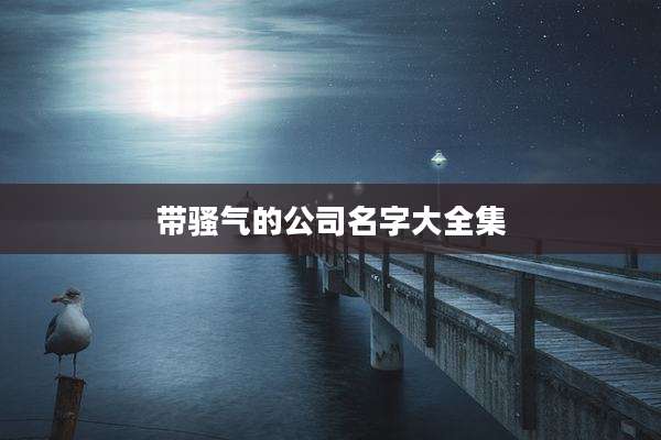 带骚气的公司名字大全集