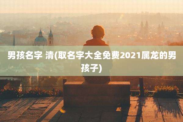 男孩名字 清(取名字大全免费2021属龙的男孩子)