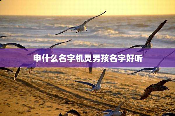 申什么名字机灵男孩名字好听
