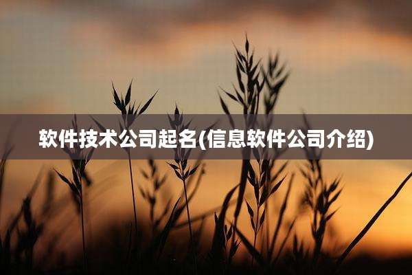 软件技术公司起名(信息软件公司介绍)