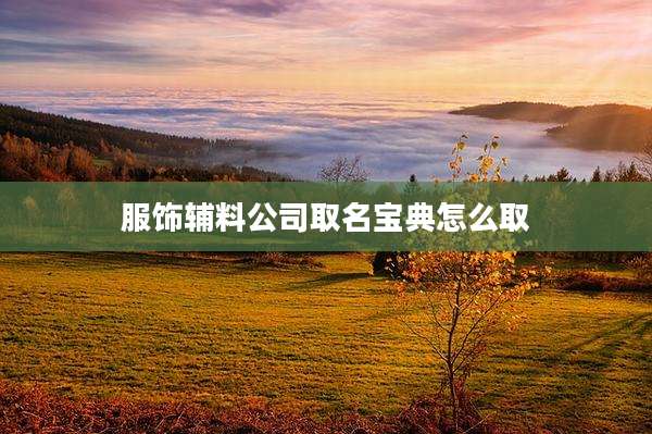 服饰辅料公司取名宝典怎么取
