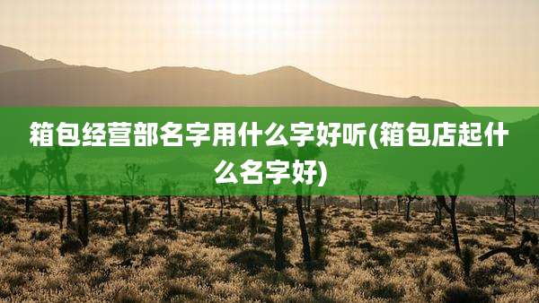 箱包经营部名字用什么字好听(箱包店起什么名字好)