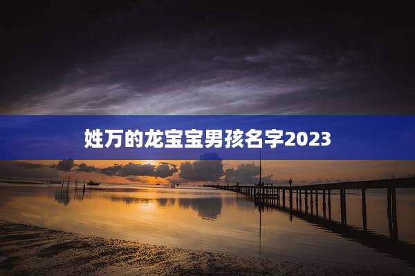 姓万的龙宝宝男孩名字2023