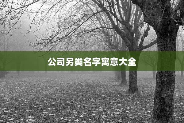 公司另类名字寓意大全