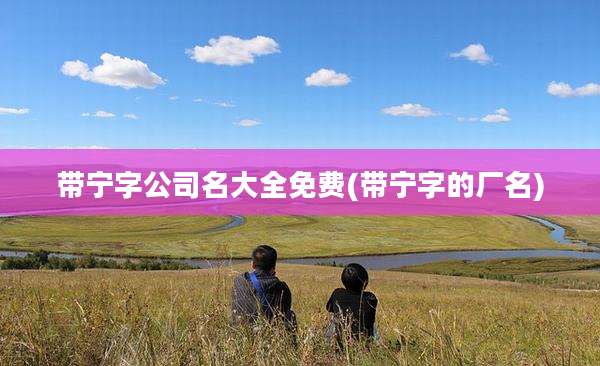 带宁字公司名大全免费(带宁字的厂名)
