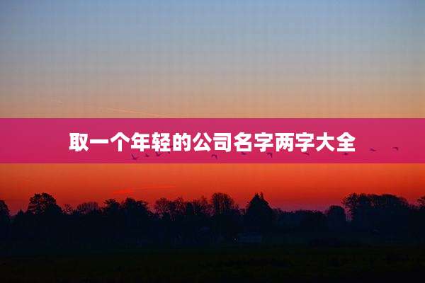 取一个年轻的公司名字两字大全
