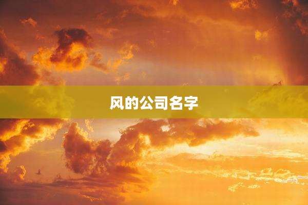 风的公司名字