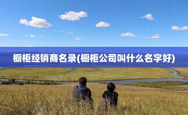 橱柜经销商名录(橱柜公司叫什么名字好)