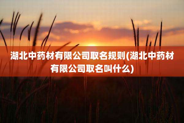 湖北中药材有限公司取名规则(湖北中药材有限公司取名叫什么)