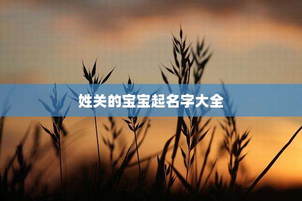 姓关的宝宝起名字大全