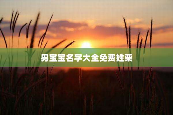 男宝宝名字大全免费姓栗