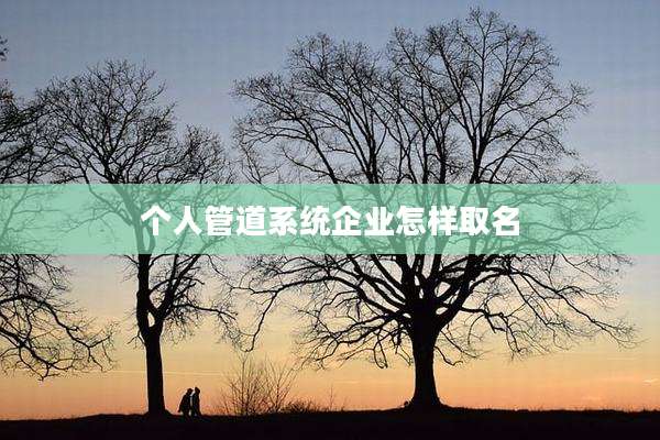 个人管道系统企业怎样取名