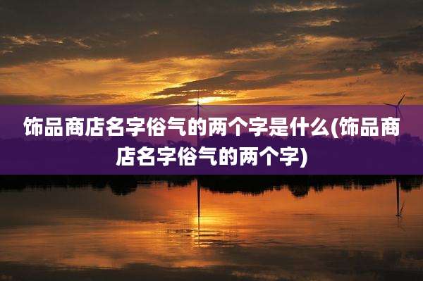 饰品商店名字俗气的两个字是什么(饰品商店名字俗气的两个字)