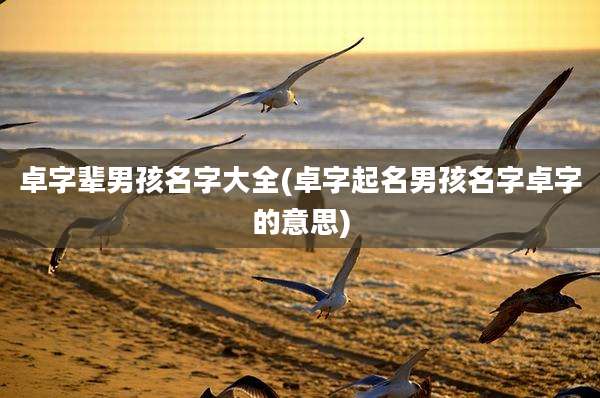卓字辈男孩名字大全(卓字起名男孩名字卓字的意思)
