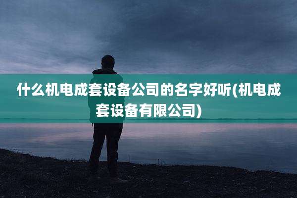 什么机电成套设备公司的名字好听(机电成套设备有限公司)