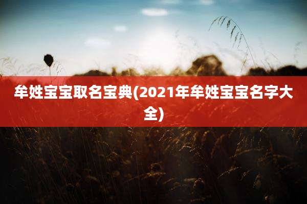 牟姓宝宝取名宝典(2021年牟姓宝宝名字大全)