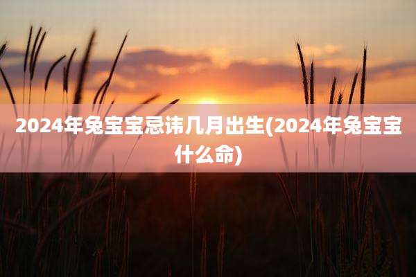 2024年兔宝宝忌讳几月出生(2024年兔宝宝什么命)
