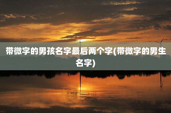 带微字的男孩名字最后两个字(带微字的男生名字)