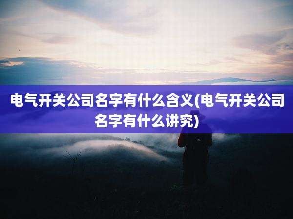 电气开关公司名字有什么含义(电气开关公司名字有什么讲究)