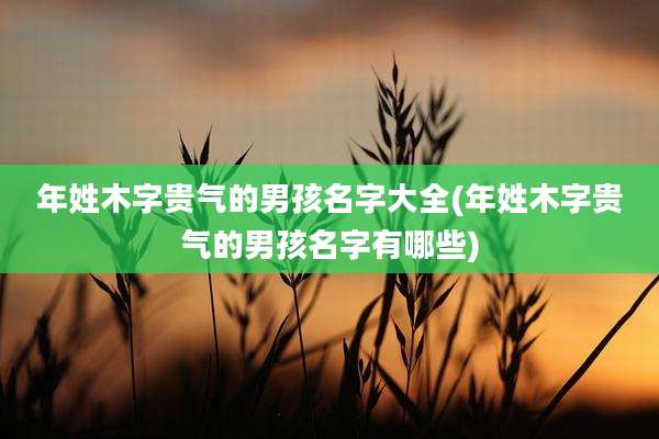 年姓木字贵气的男孩名字大全(年姓木字贵气的男孩名字有哪些)