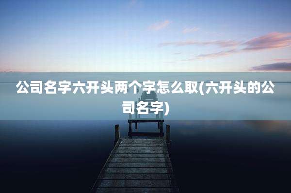公司名字六开头两个字怎么取(六开头的公司名字)