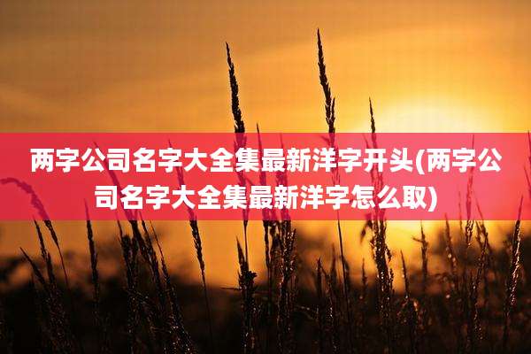 两字公司名字大全集最新洋字开头(两字公司名字大全集最新洋字怎么取)