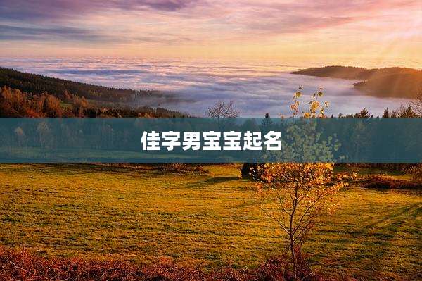 佳字男宝宝起名