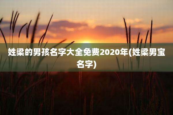 姓梁的男孩名字大全免费2020年(姓梁男宝名字)