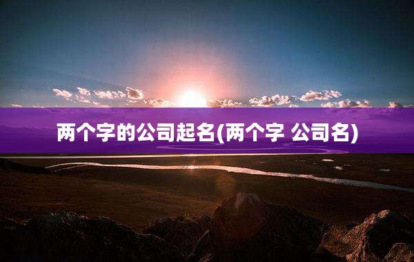两个字的公司起名(两个字 公司名)