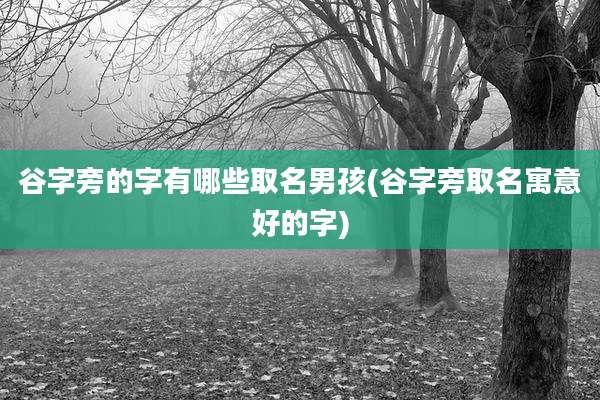 谷字旁的字有哪些取名男孩(谷字旁取名寓意好的字)