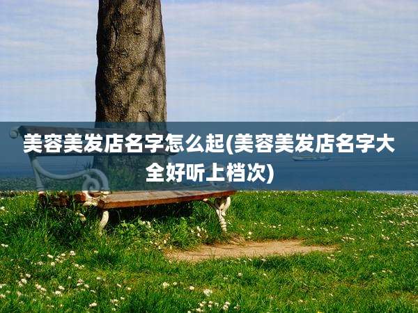 美容美发店名字怎么起(美容美发店名字大全好听上档次)