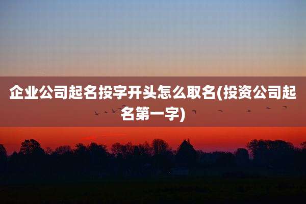 企业公司起名投字开头怎么取名(投资公司起名第一字)