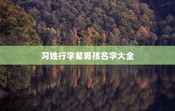 习姓行字辈男孩名字大全