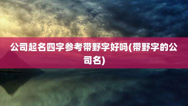 公司起名四字参考带野字好吗(带野字的公司名)