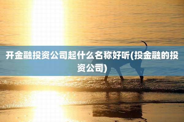 开金融投资公司起什么名称好听(投金融的投资公司)